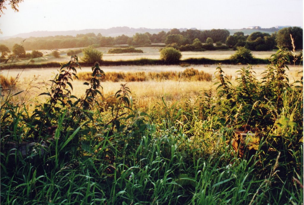 Fields on the outskirts of Runcorn by Seth Kay