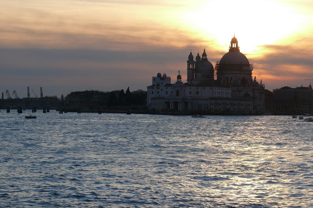 Santa Maria della Salute by Alfred Schaffer