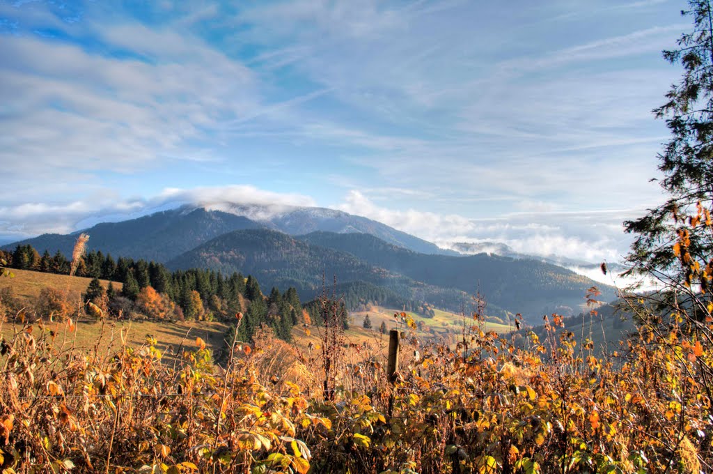 Schwarzwald, Herbst by Kupino