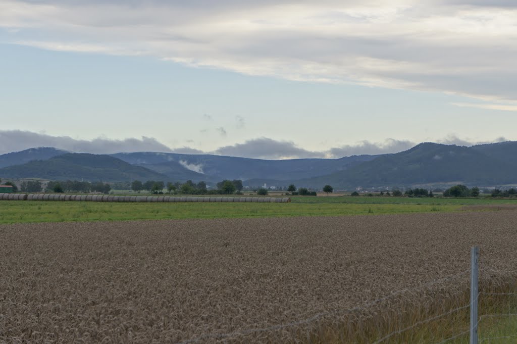 Innerste-Tal vom Vorharz gesehen by ozett