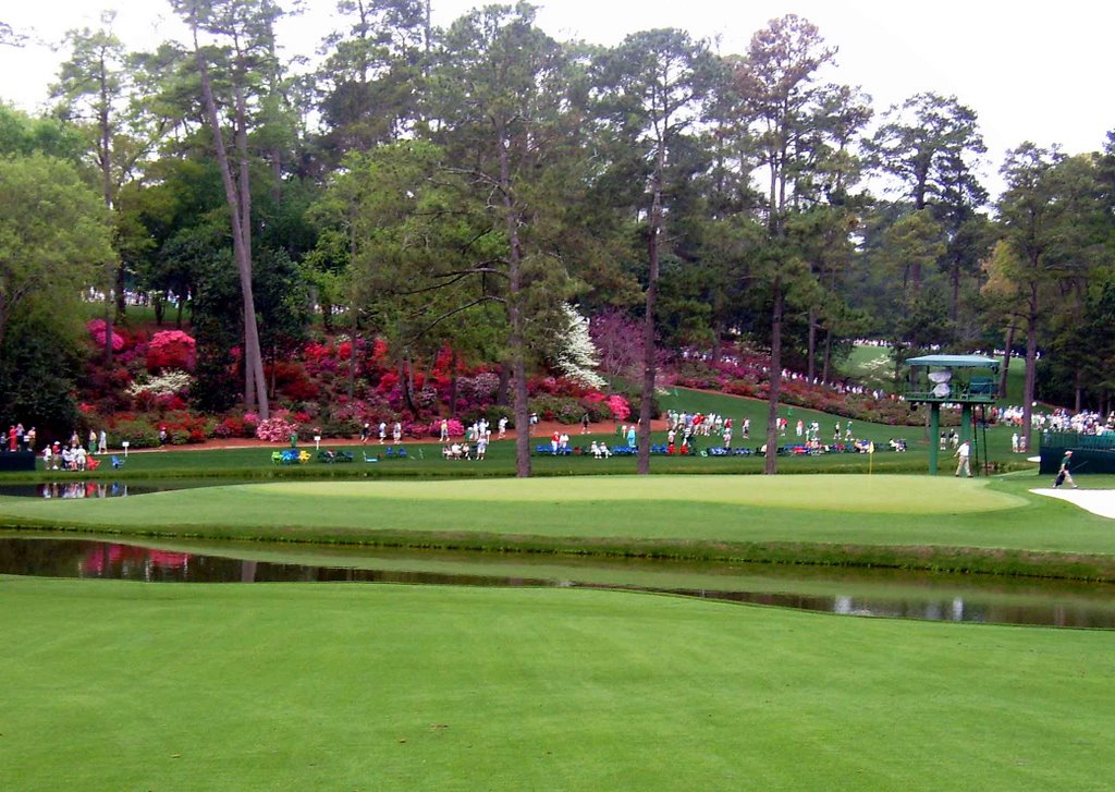 Fifteen at Augusta National by Gary Willie