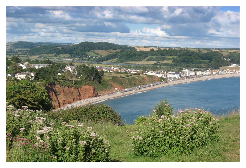 Towards Seaton, Devon by Desmond Riordan