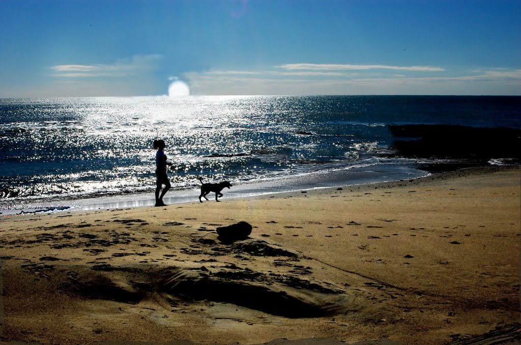 Praia com cão by m.tomé