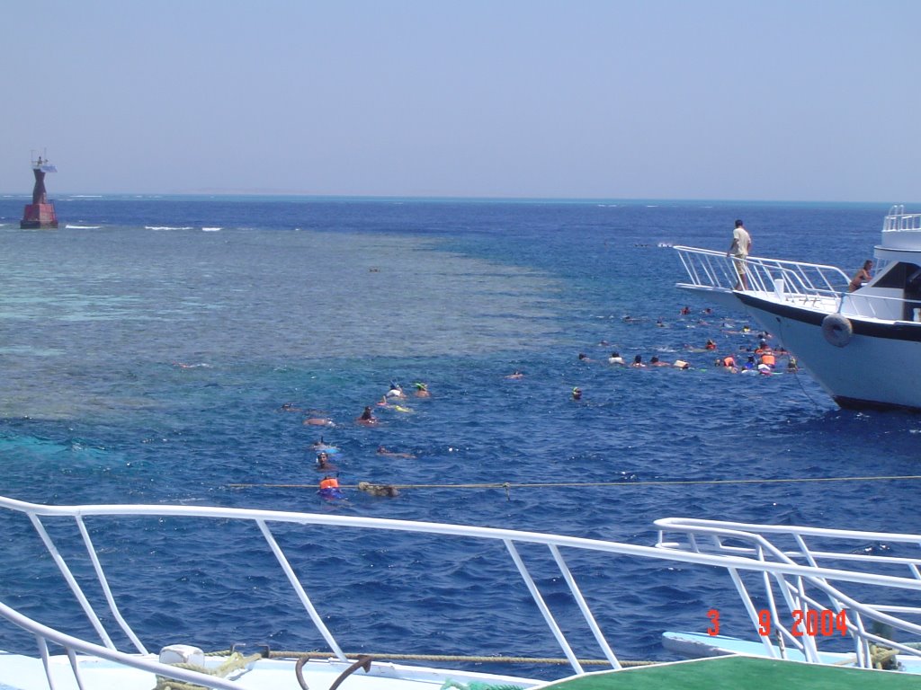 Sharm el sheikh's reefs by Philippos_Pa