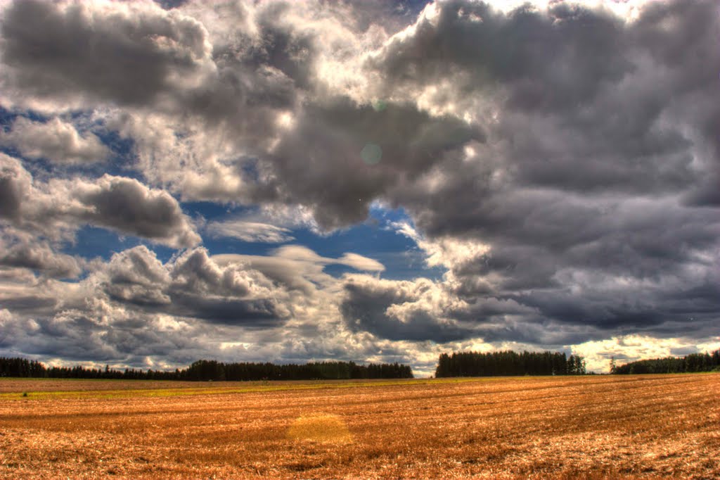 Wolken über den Feldern by leone marino