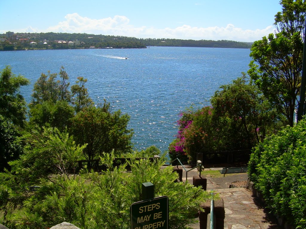 Steps leading down to Lady Gowrie Lookout by Alex Thorn