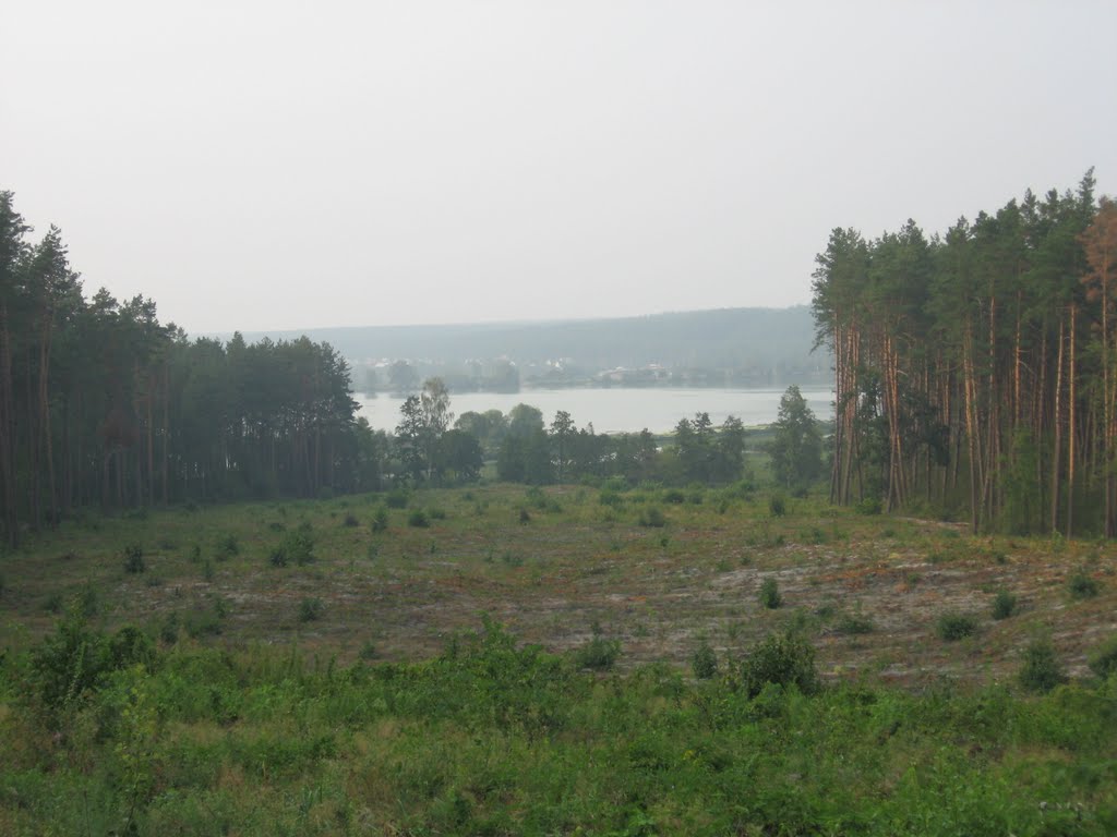 Вид на поруб і П'ятий ставок між Малютянкою та Забіp'ям by Mykola Kucherenko