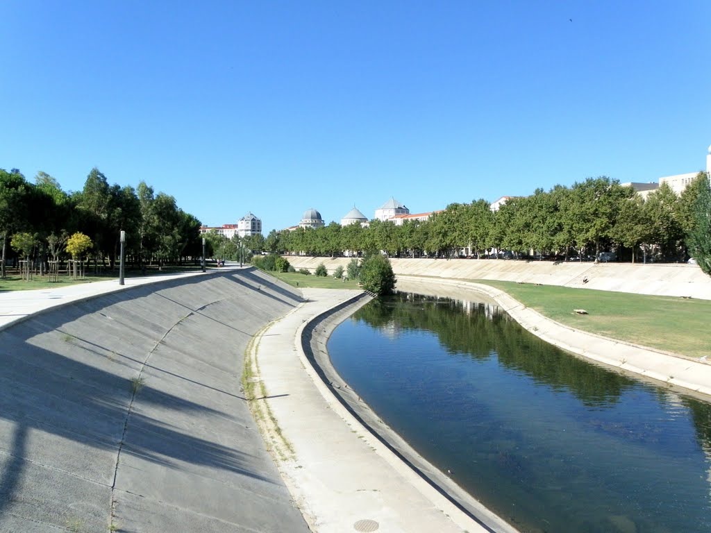 Rives du Lez à Montpellier (THIEU) by Thieu83