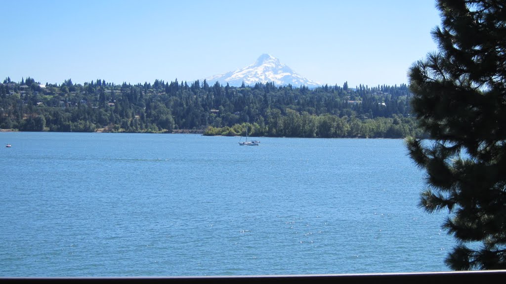 MT. HOOD FROM WASHINGTON SIDE OF COLUMBIA RIVER by greggster7