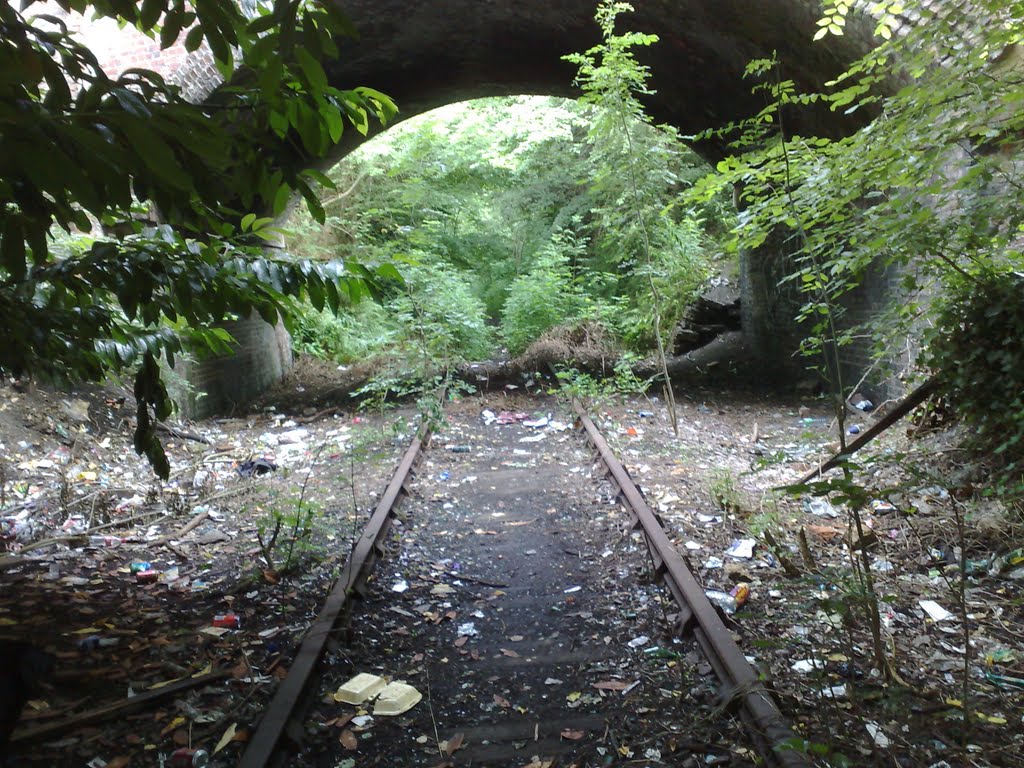 Nature claims back railway line by jondaniel