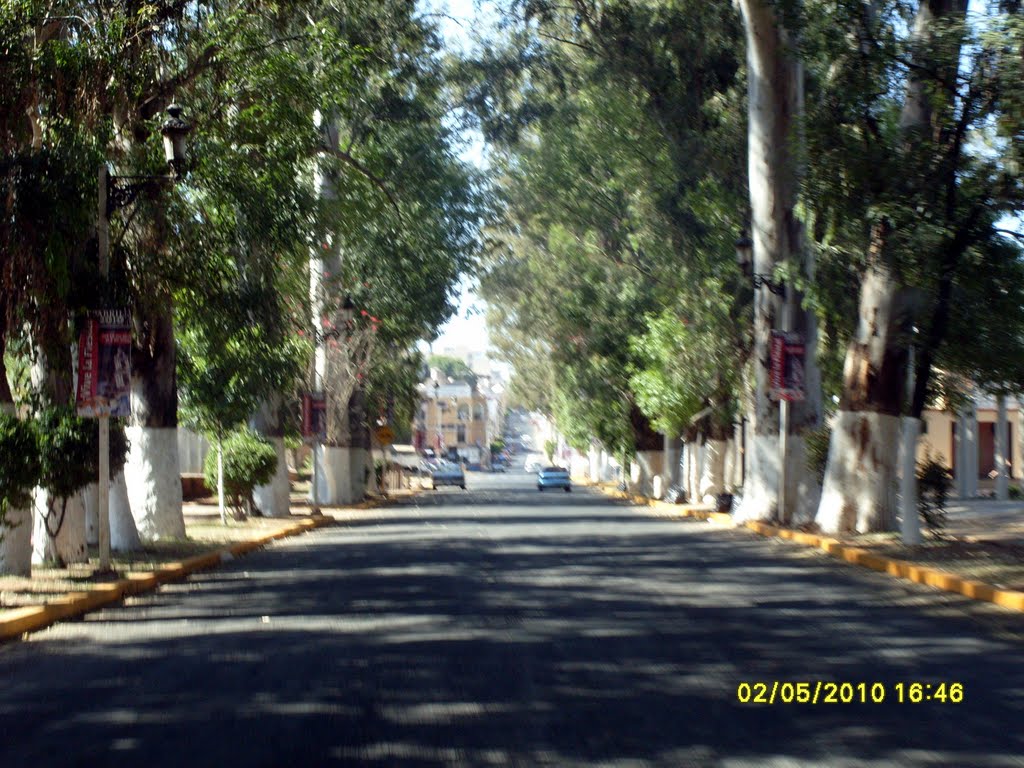 Entrada a tepatitlan de morelos by manuel castillo gonzalez