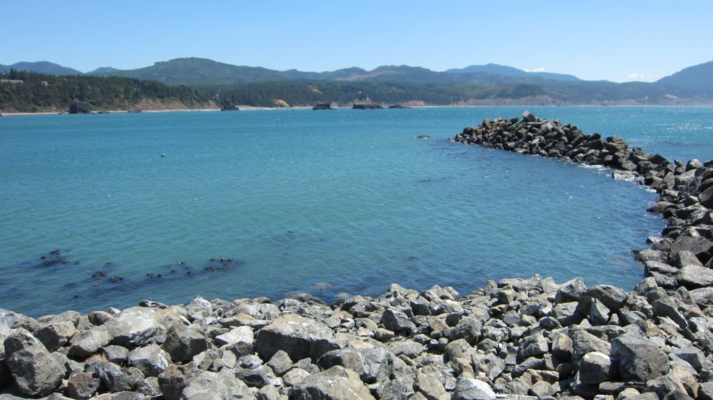 PORT ORFORD WHALE by greggster7