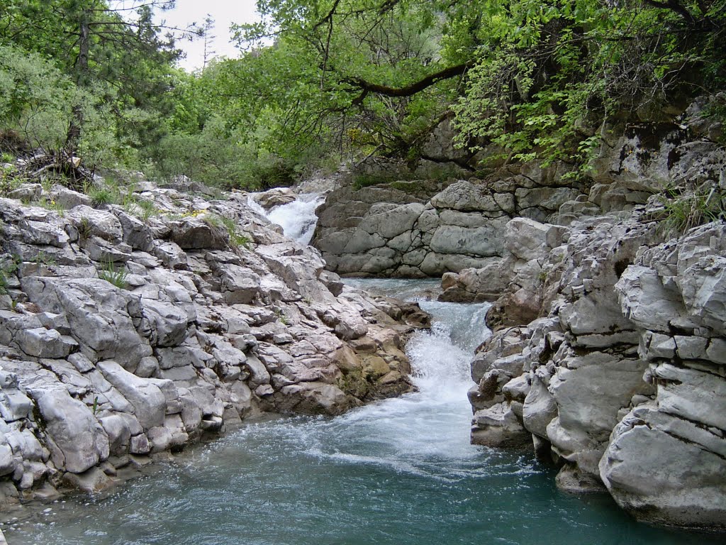 La rafraichissante petite rivière "Bernarde" by Jean-Louis Delegue