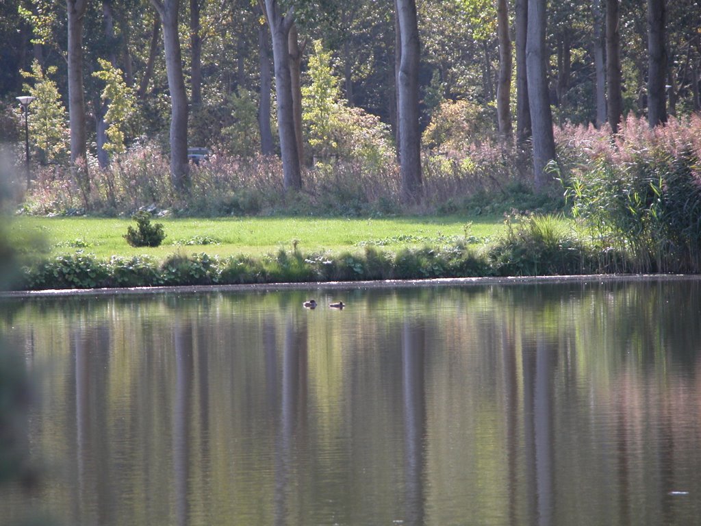 View from "De Kemphaan" estate by Belangenvereniging A…