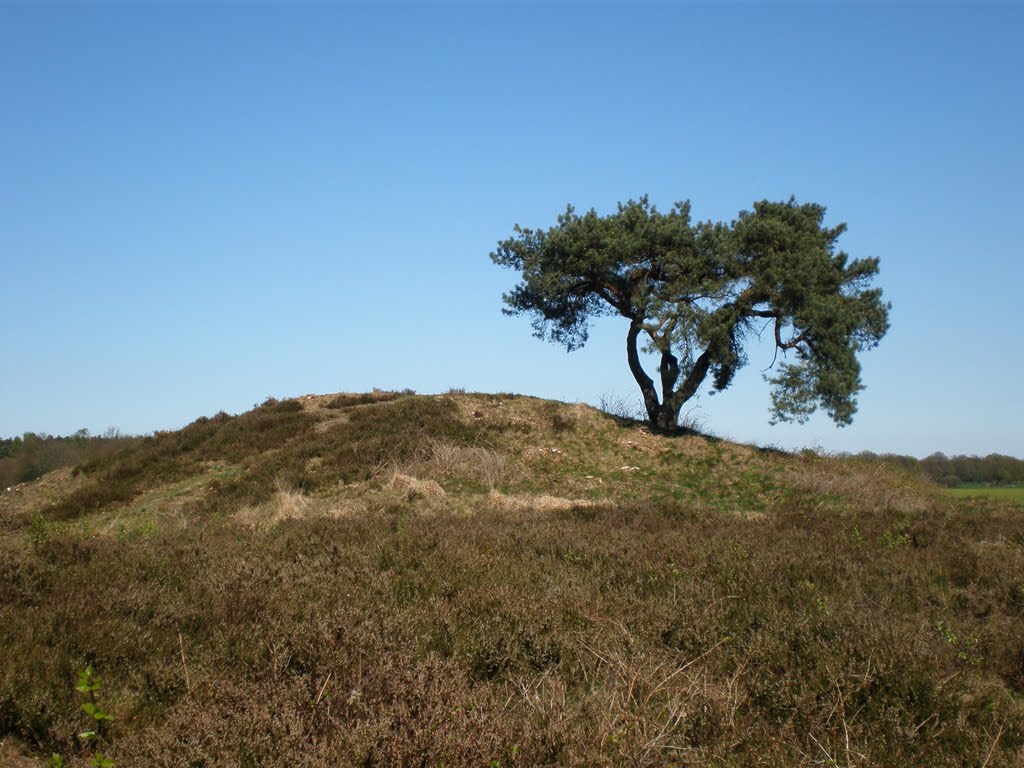 Hügelgrab bei Langeln by ChriF