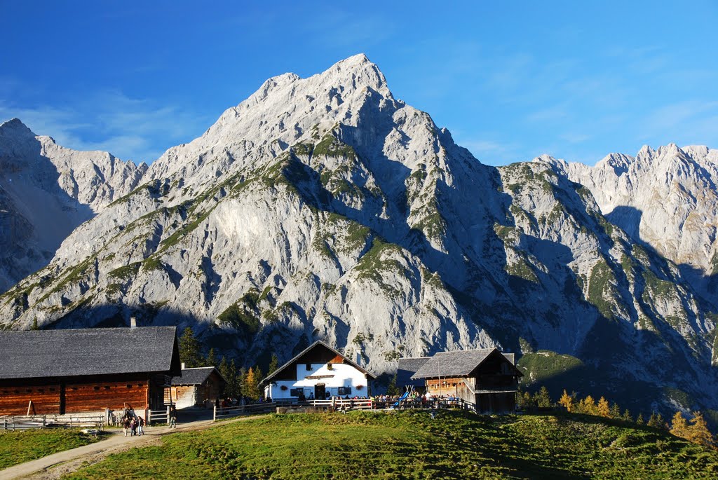 Tirol Gnadenwald, Walderalm mit Nordkette by Miller Harry