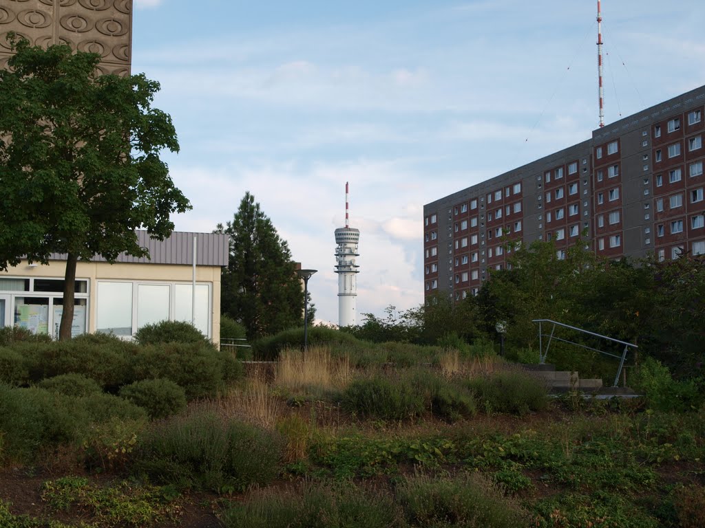 Schwerin-Zippendorf mit Fernsehturm by RainerPausB