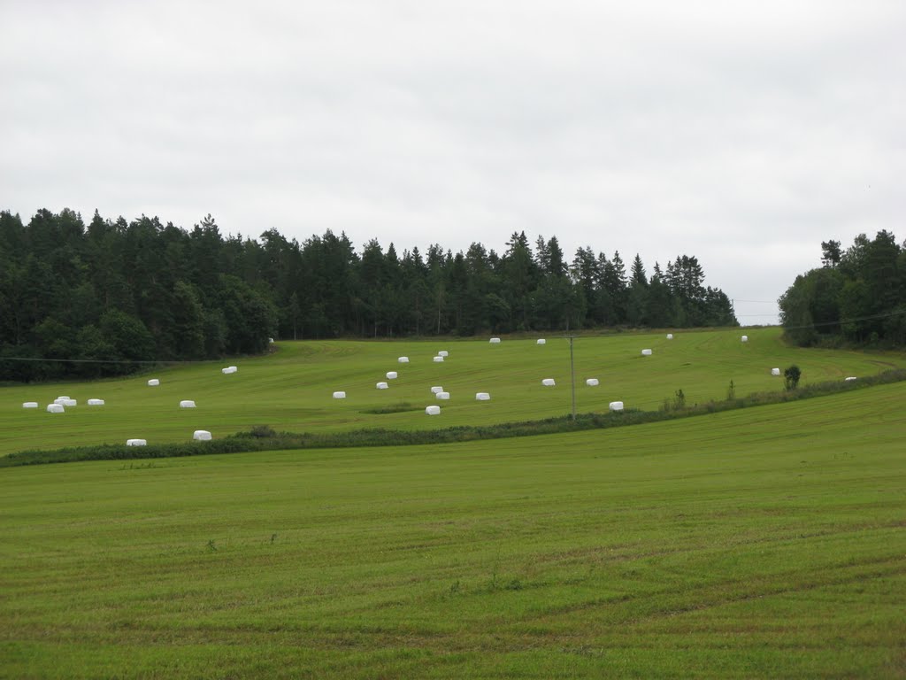 Sweden Dalsland by gmjkoenig