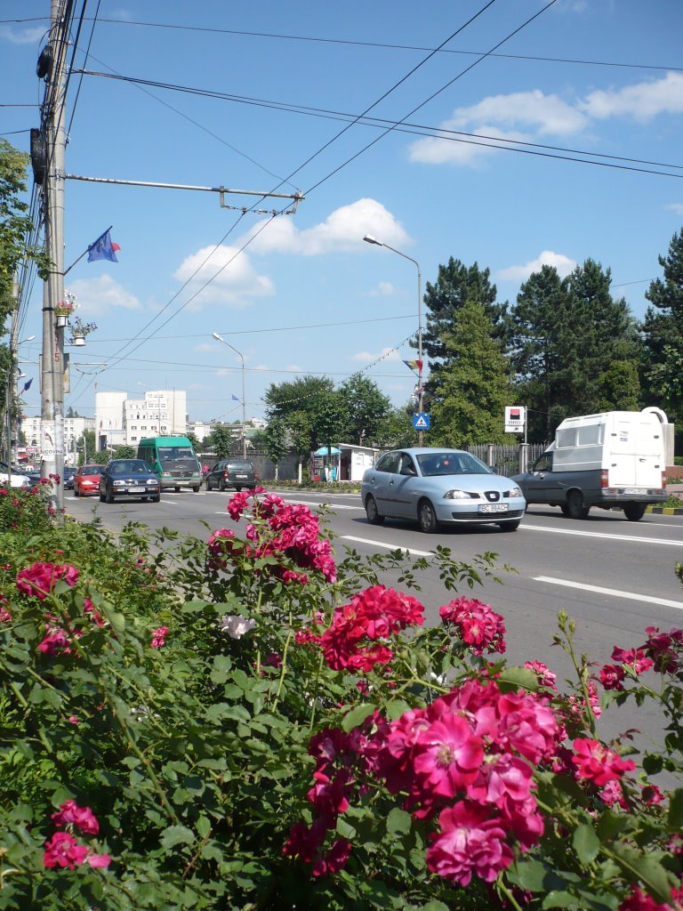 Suceava vara 13-06-2007 by adrianbabiuc