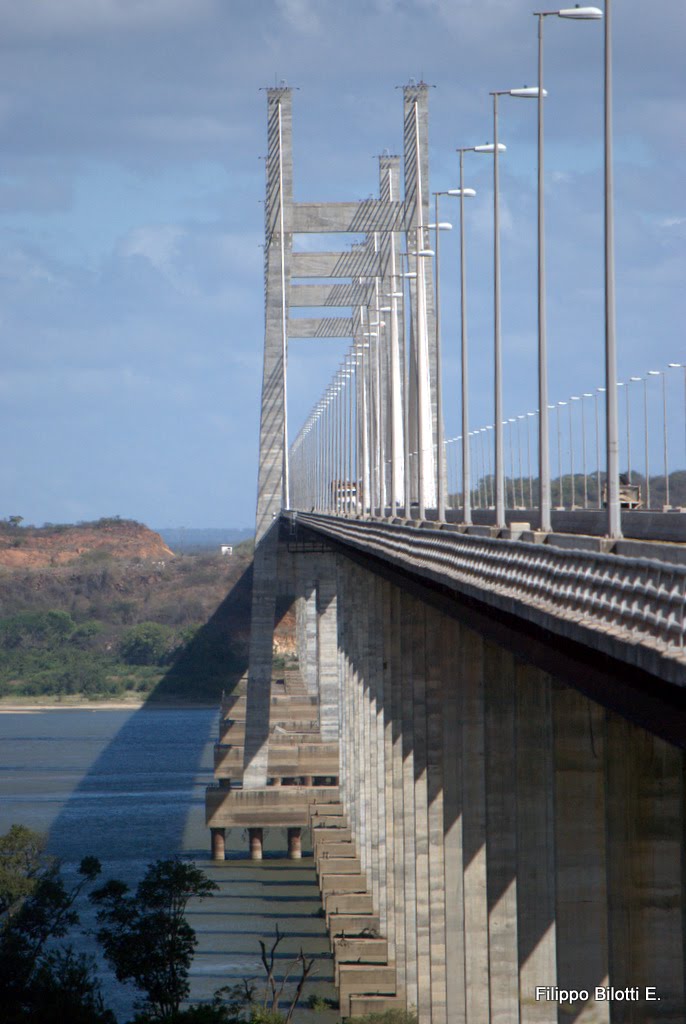 F.B.Puente Orinokia. by filippo bilotti