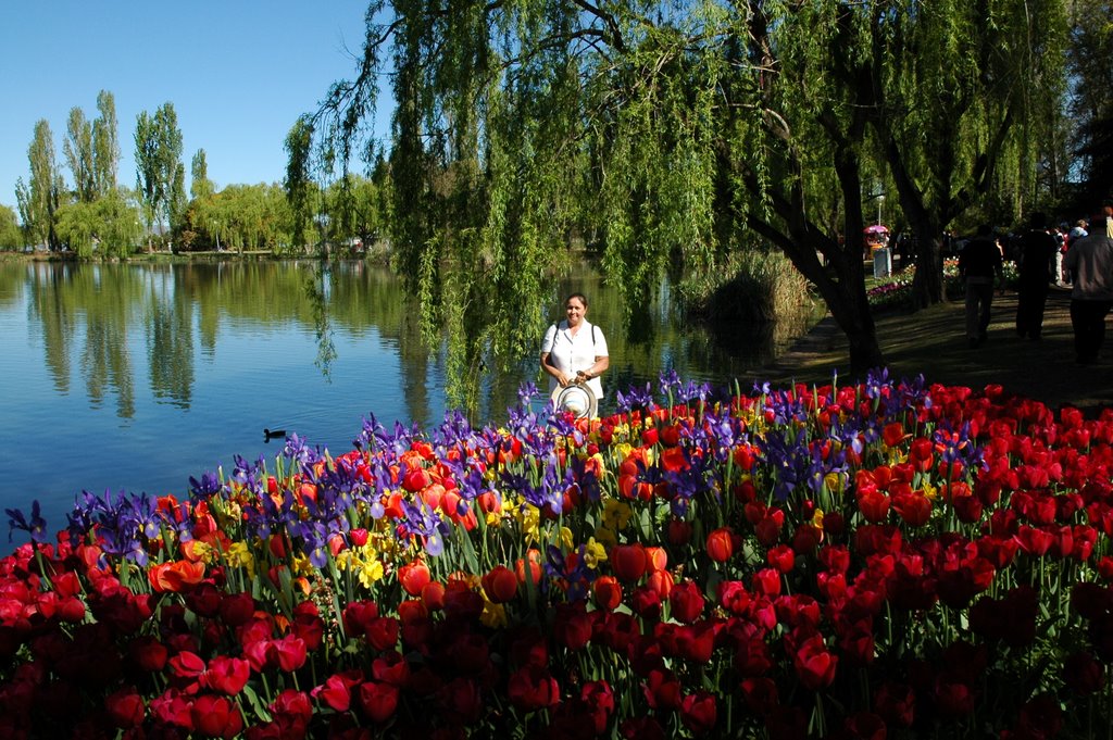 Canberra (Floriade) by miro59