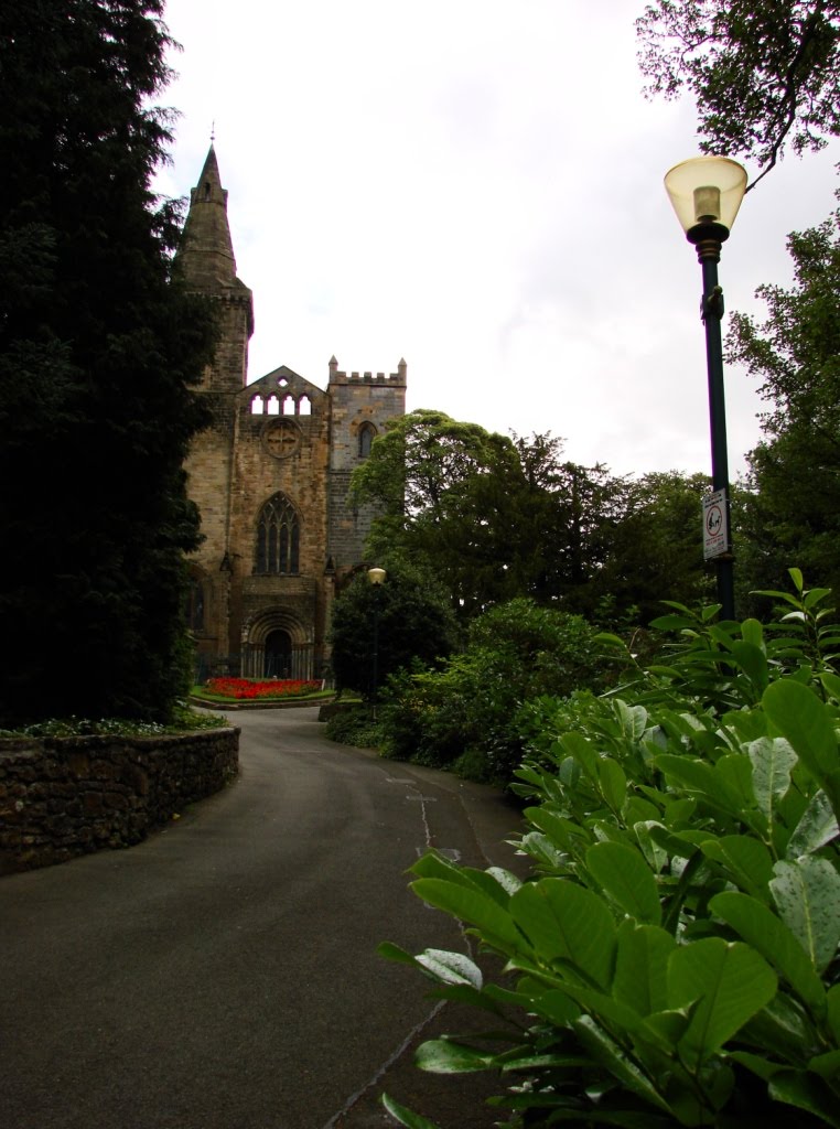 Dunfermline by Svetlana Masalitina