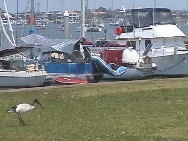 Wharf Mooloolaba by Benny Alminde