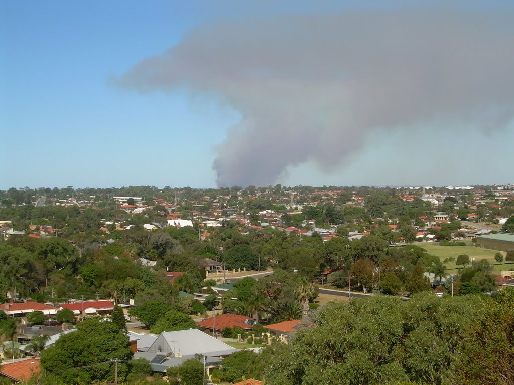 Bush Fire in Forestdale by Alex Thorn