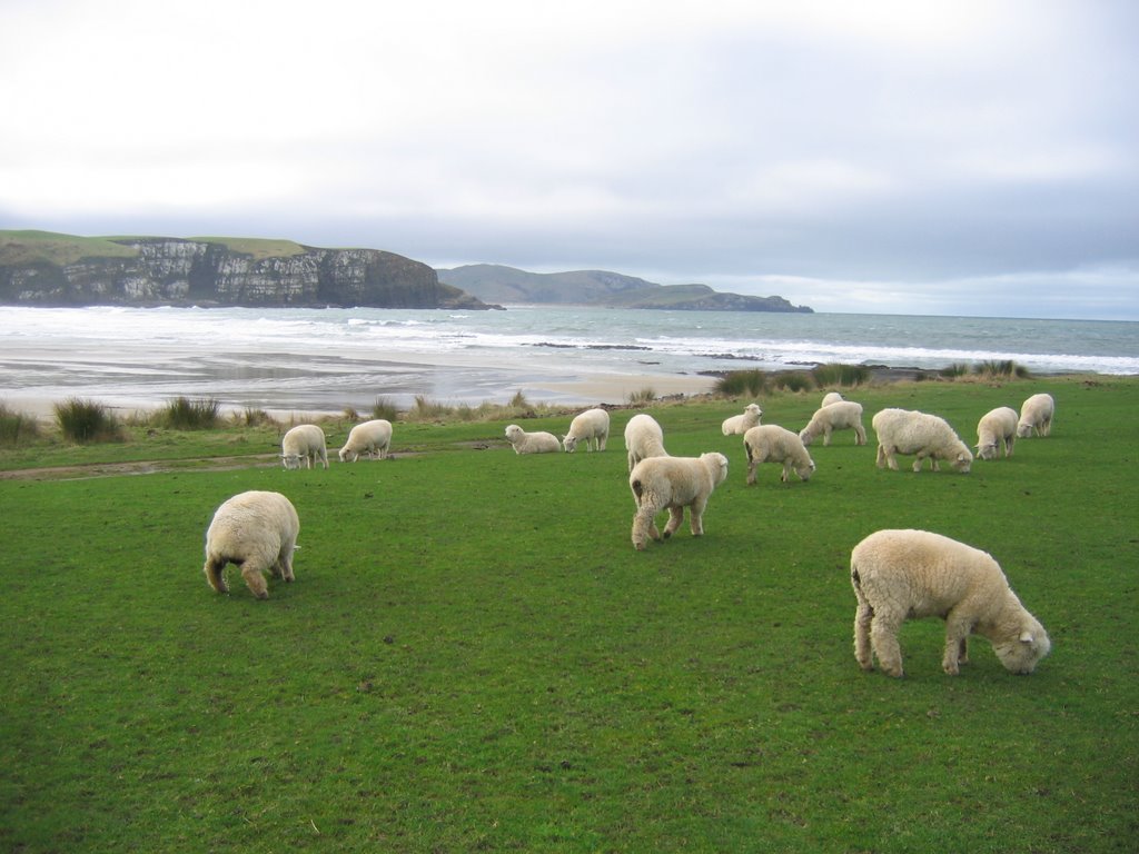 Jack's Bay by aaronmp3