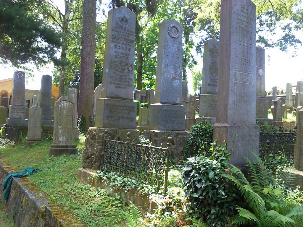 Jewish Cemetery by Pavel Šmíd