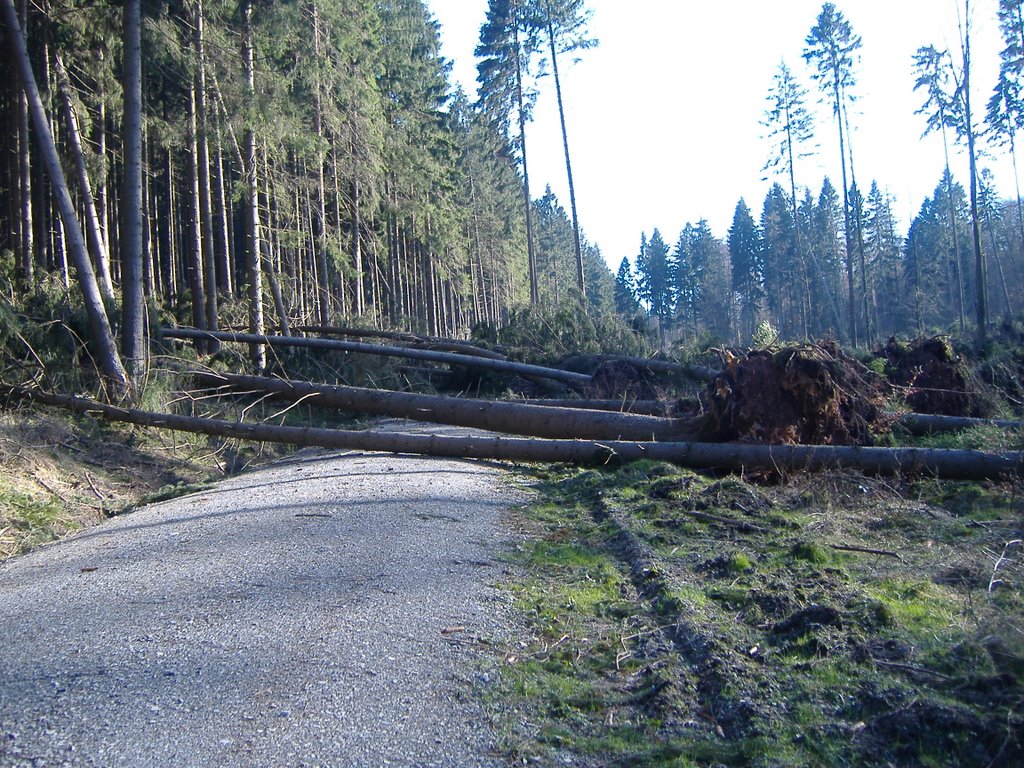 37603 Holzminden, Germany by olliausholzminden