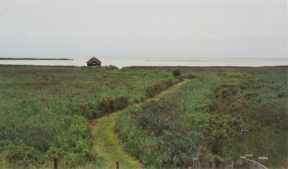 Vogelkijkhut tussen Molkwerum-Hindeloopen by ASHoekstra