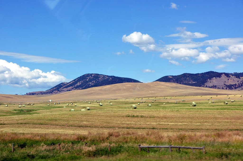 Hwy 90 - landscape by stejfan