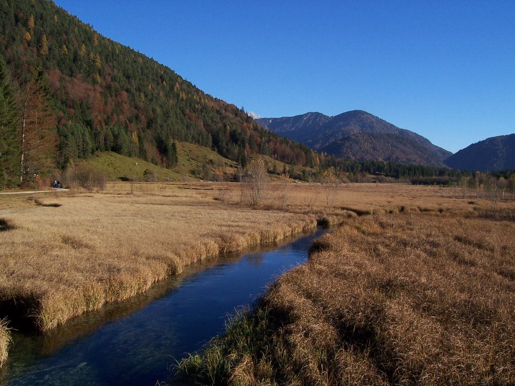 Fall at the Pillersee by millinger