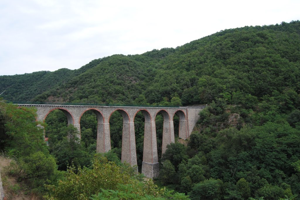 Viaduc du duzon by patrick hetreau figueiredo