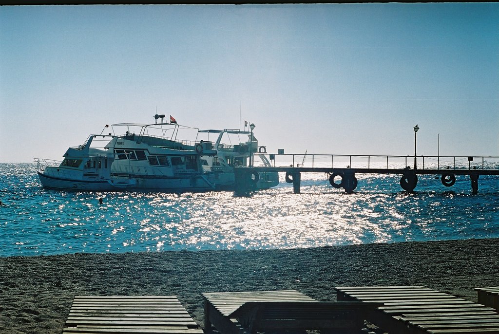 Shark Bay by Romanov S.V.