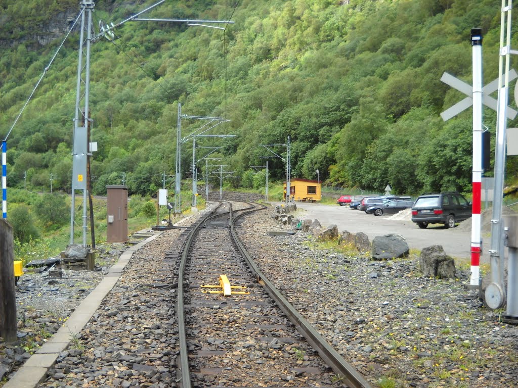 Passaggio a livello a Berekvam sulla Flåmbana(verso Myrdal) by Nicchio