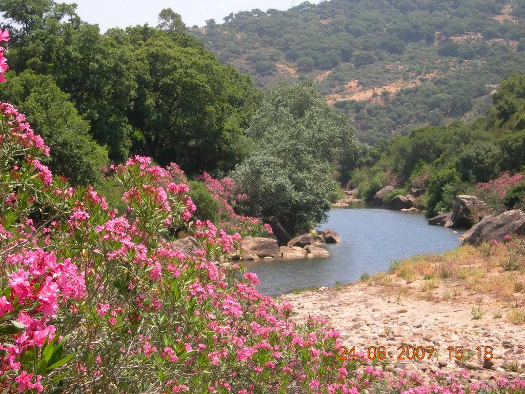 RÍO HOZGARGANTA by luis,rosarioyjorge