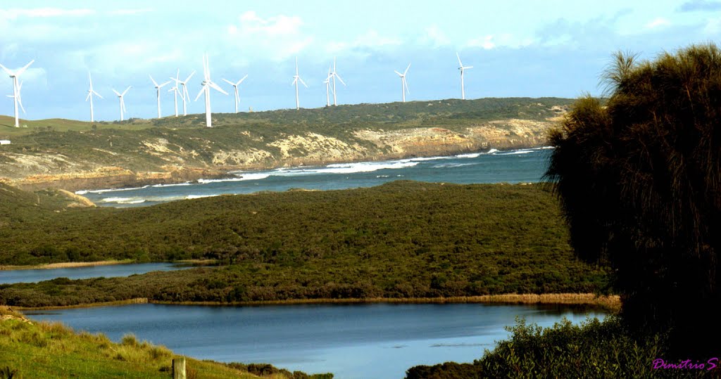 Cape Bridgewater Vic by Dimitrios Stathakis