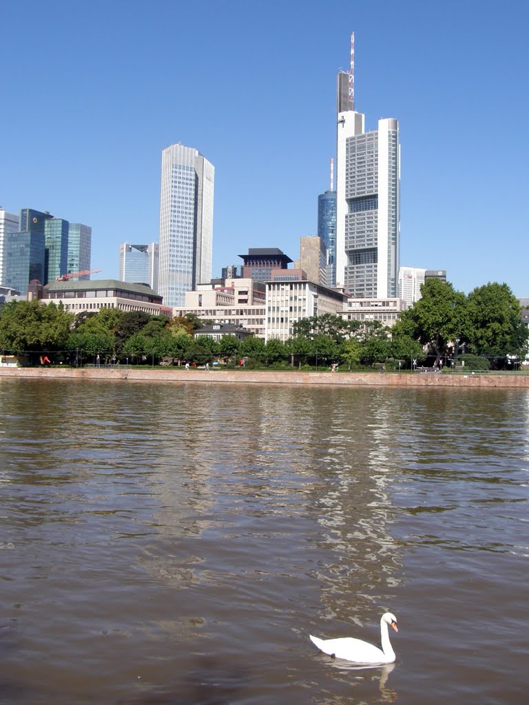 Frankfurt across the Main by © Douglas MacGregor