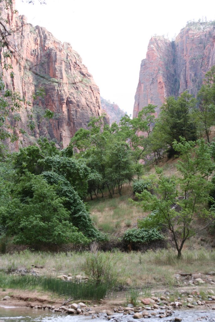 Zion National Park by Alain Ecuvillon