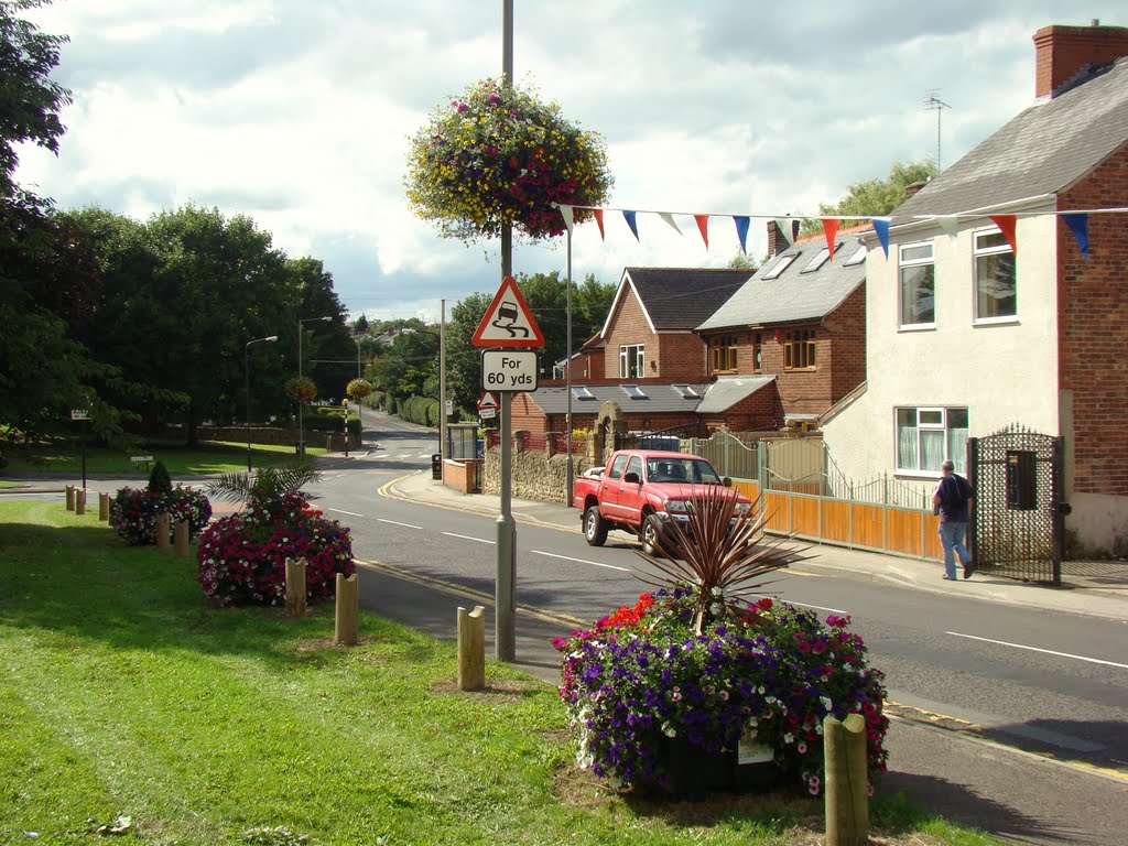 Summer flower displays on West Street 3, Sothall, Sheffield S20 by sixxsix