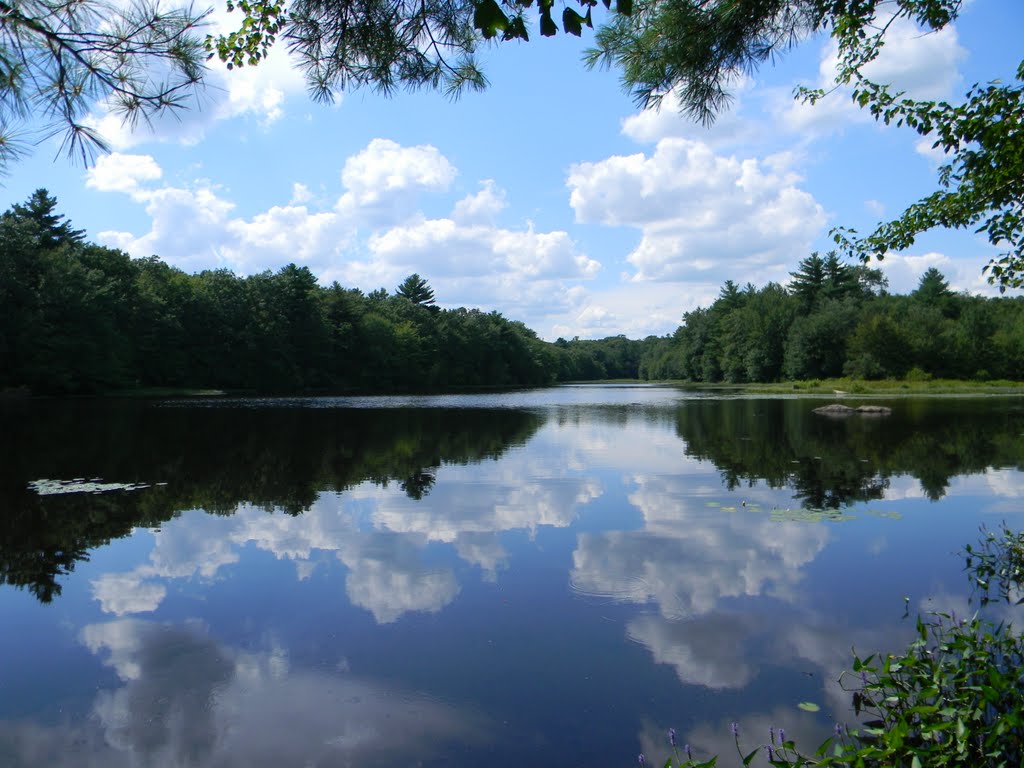 Porter Pond, Sterling, Connecticut by sedge713