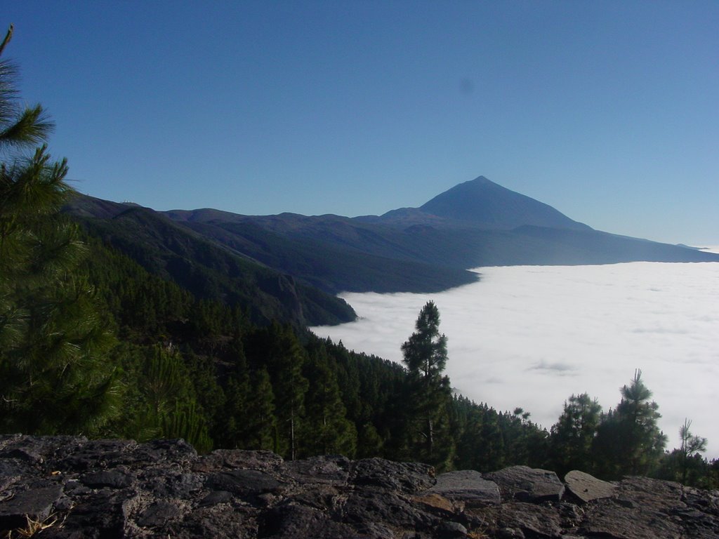 Camino del Teide by Teide