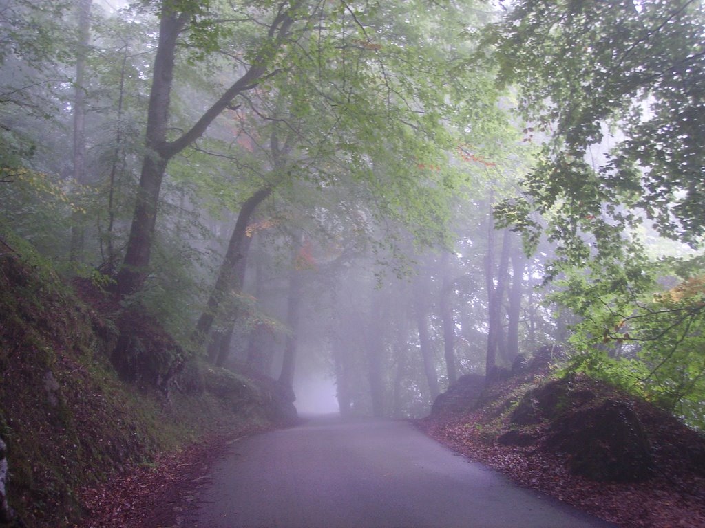 Camino del santuario by Marcel.li Farran