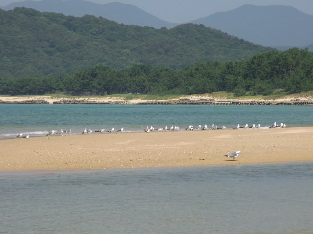 室津海水浴場 by gatarou