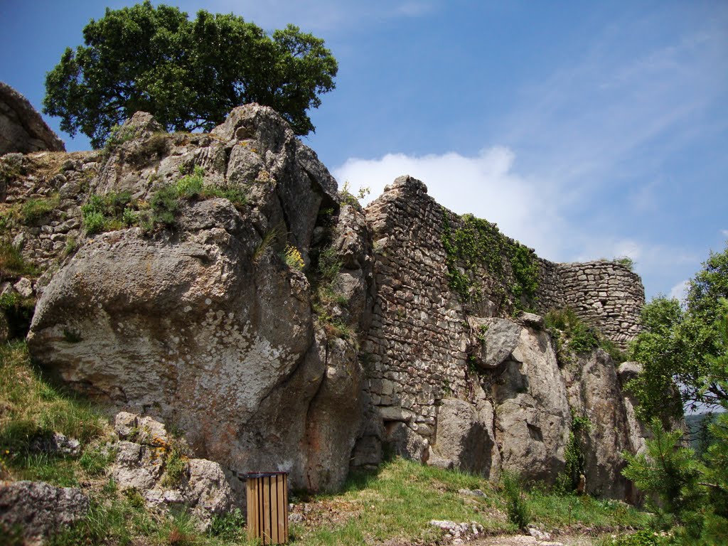 L'ALBIOL CASTELL by fdtorrijos