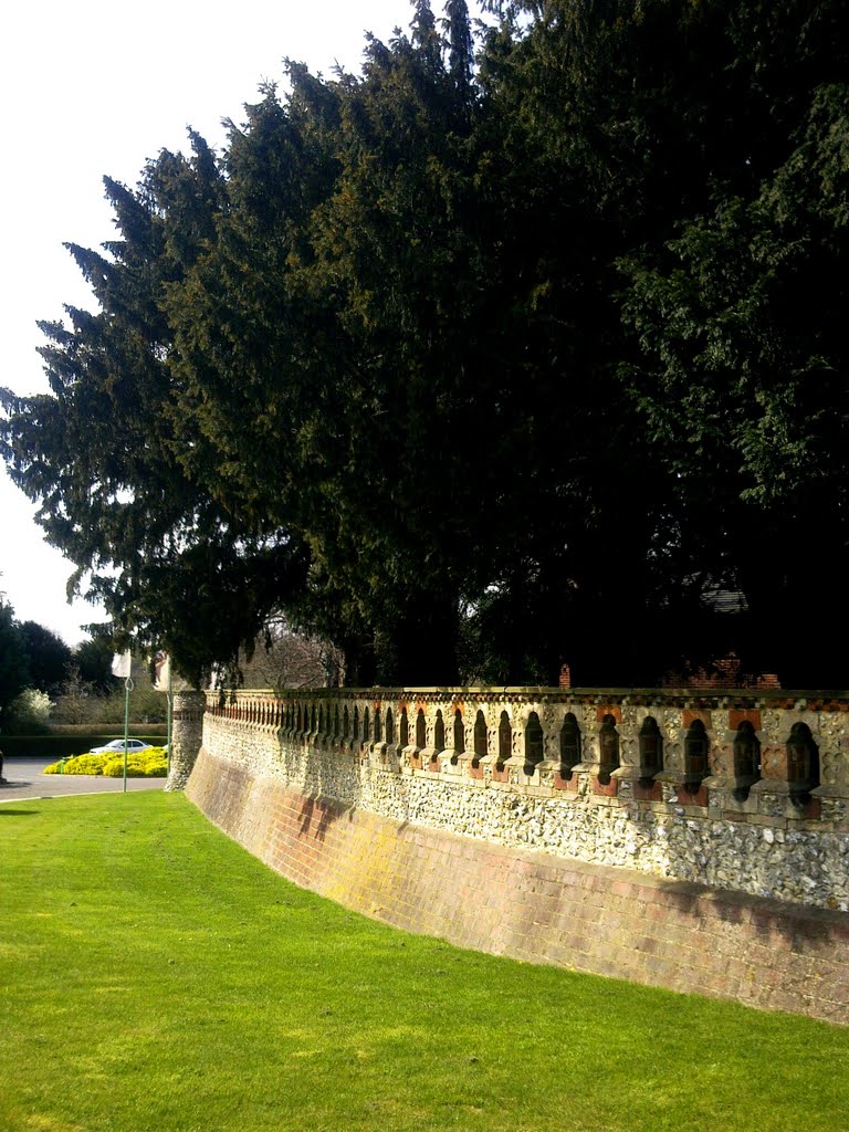 Védőfa(l)sor, Horsley Park by Shoya