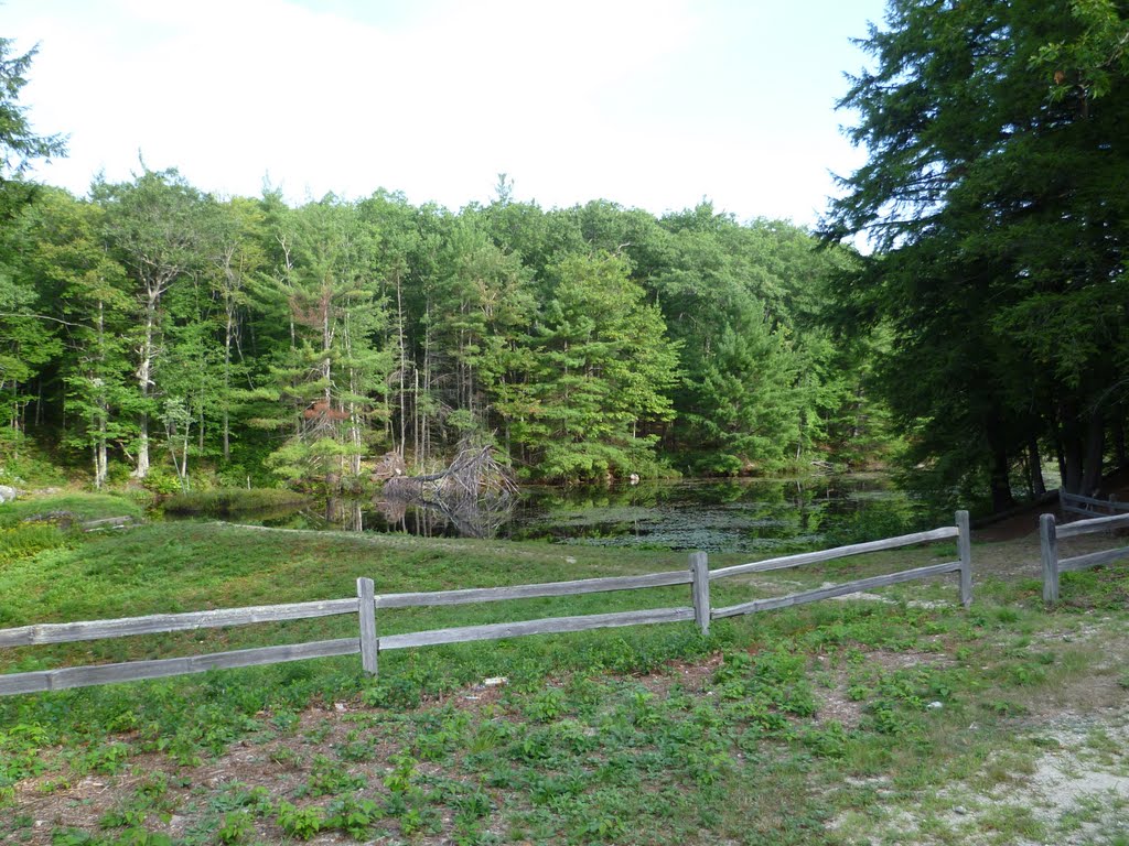 Meeting House Pond Parking Lot by P  A