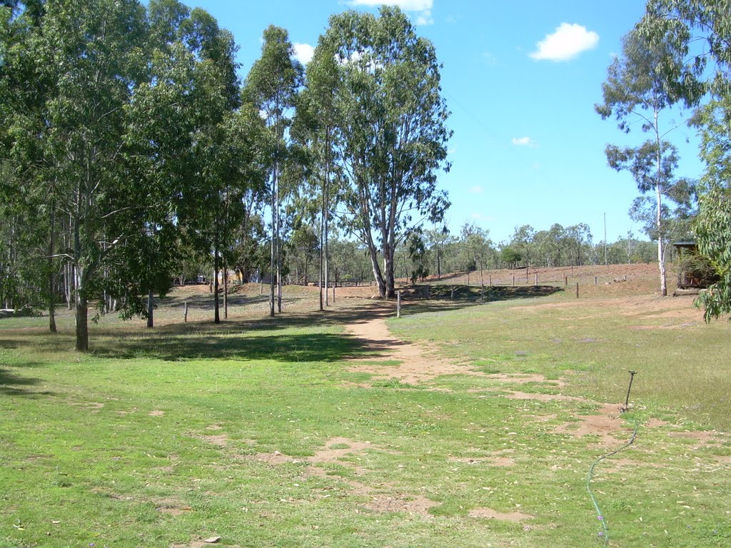 Path to Horse Yards by Alex Thorn